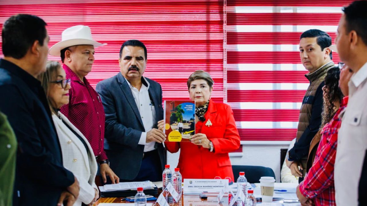 renuncia marco antonio baez rochin al organo interno de control de guasave