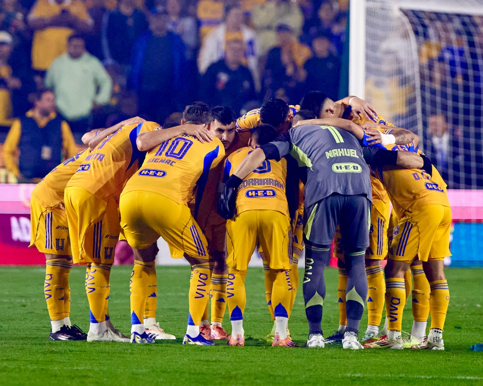 tigres UANL
