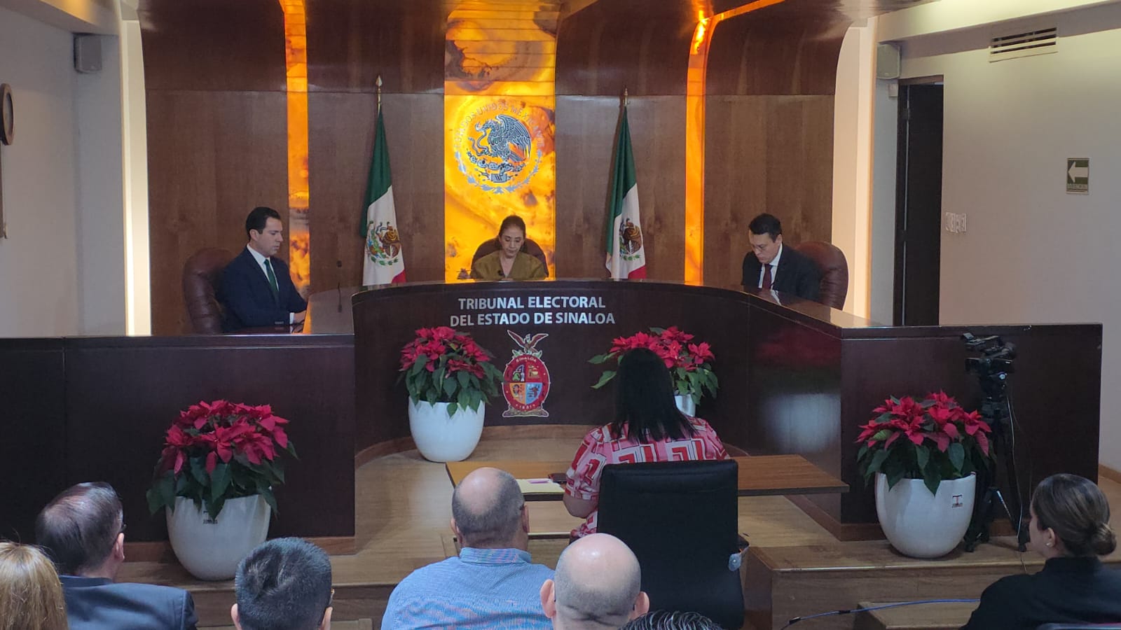 tribunal electoral del estado de Sinaloa
