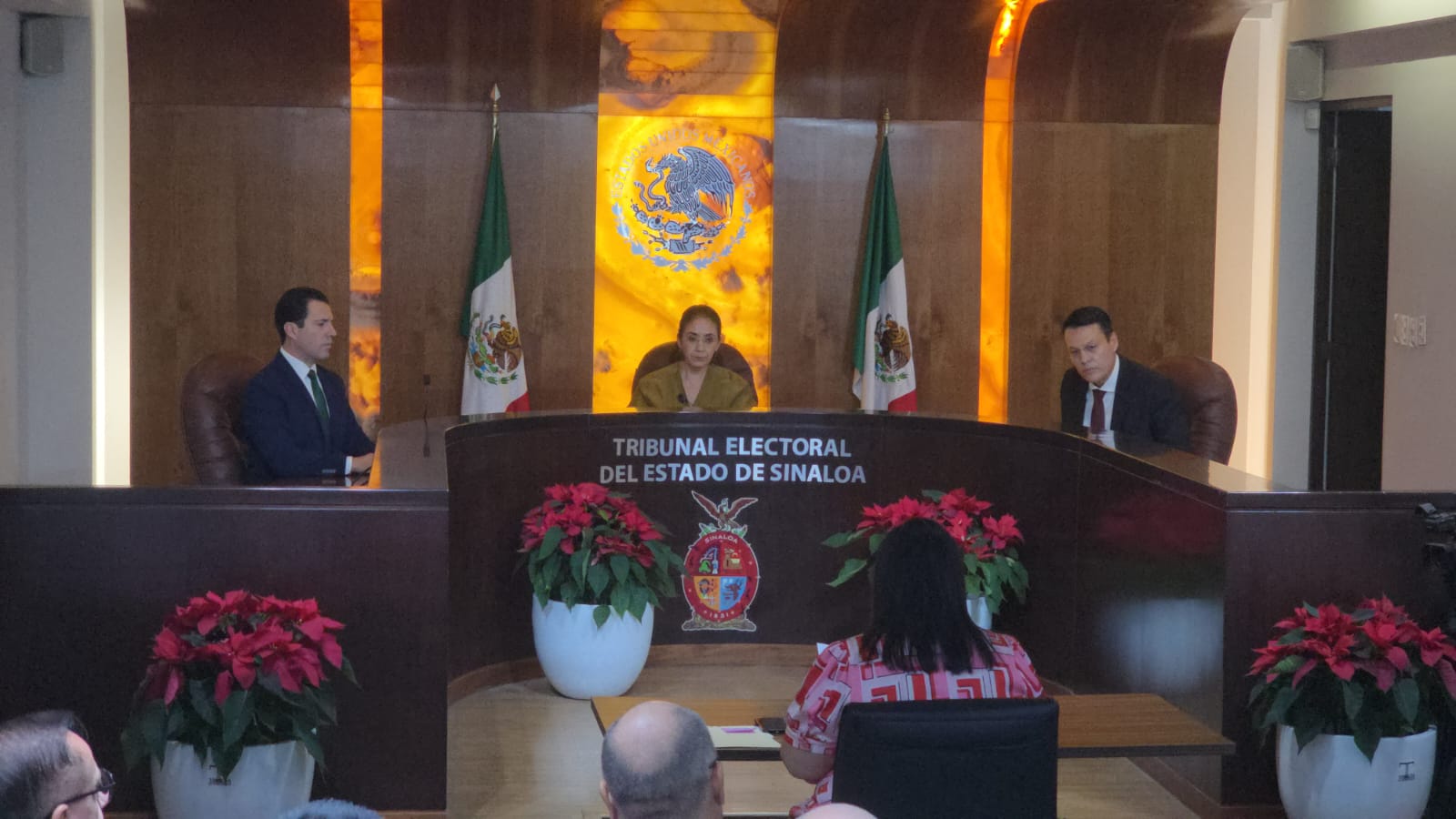 tribunal electoral del estado de Sinaloa
