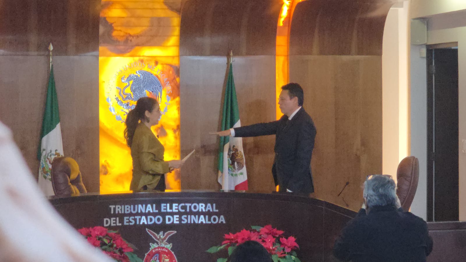 tribunal electoral del estado de Sinaloa
