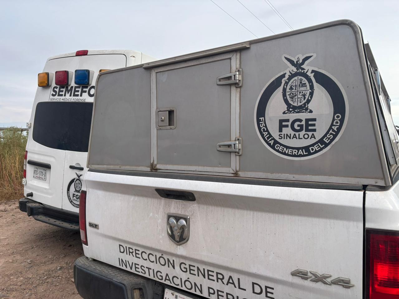 Vehículos Semefo