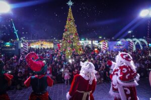Verbena navideña Culiacán 2025