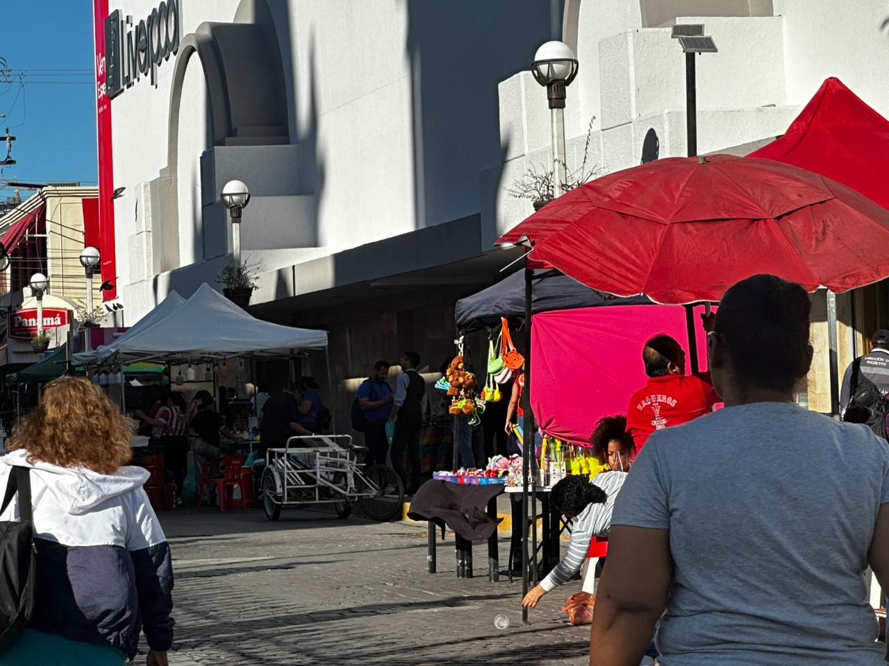 Verbena guadalupana en Mazatlán, Sin.