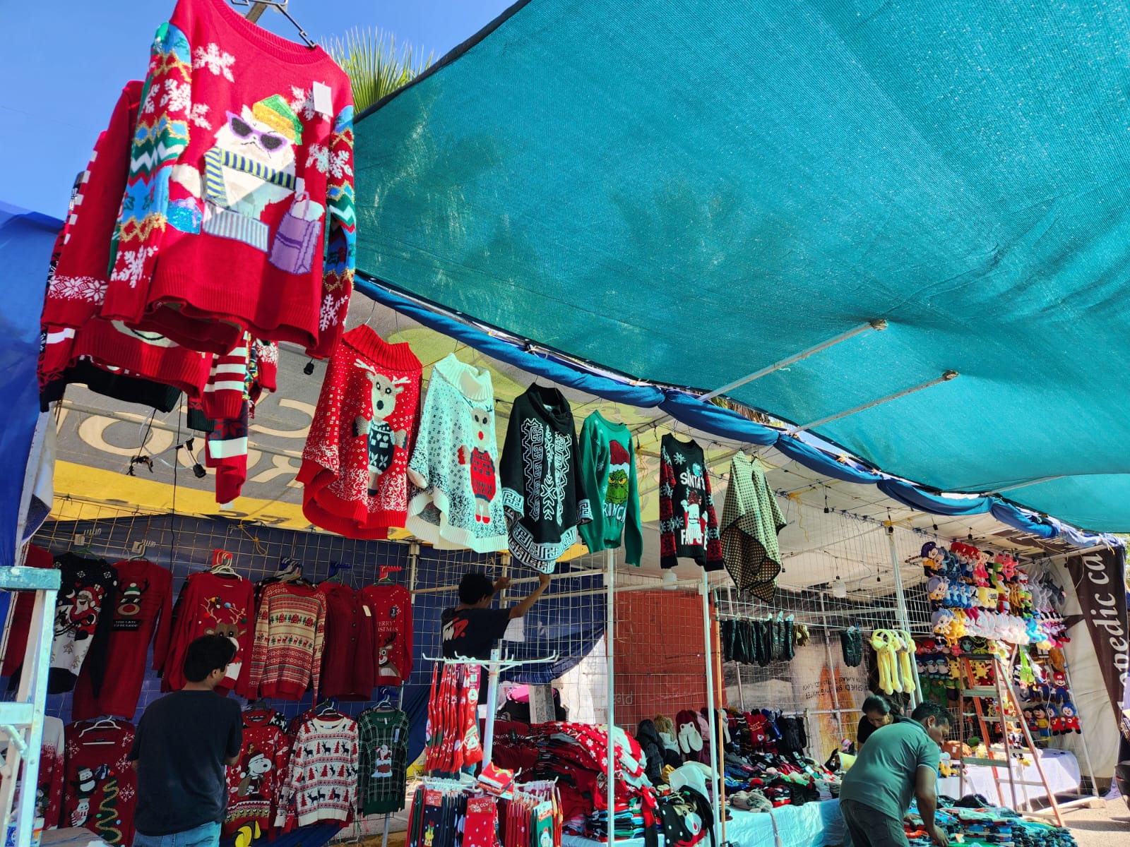 Verbena Juguetera en Guasave, Sinaloa