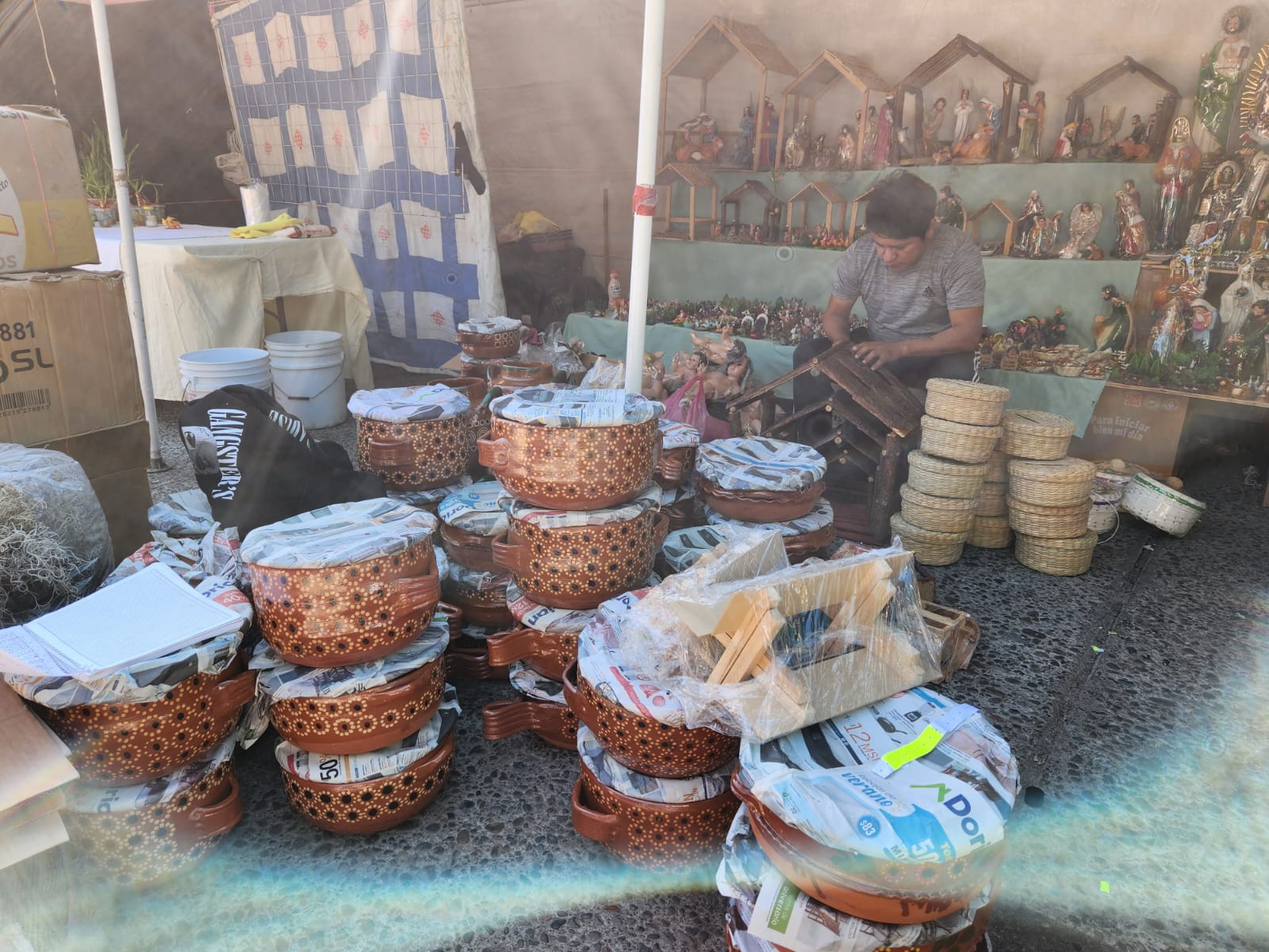 Verbena Juguetera en Guasave, Sinaloa