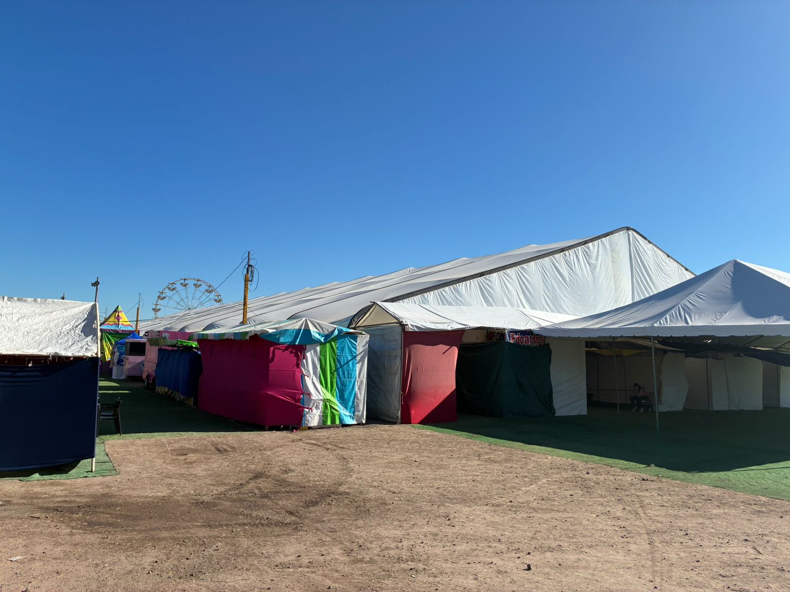 Verbena en Los Mochis