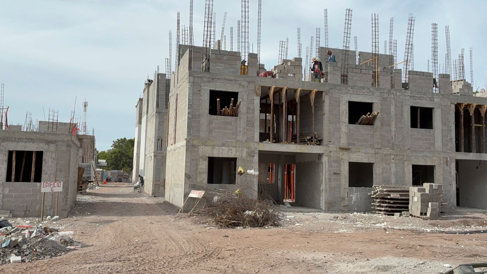 Construcción de Viviendas del Bienestar en Los Mochis, Sinaloa