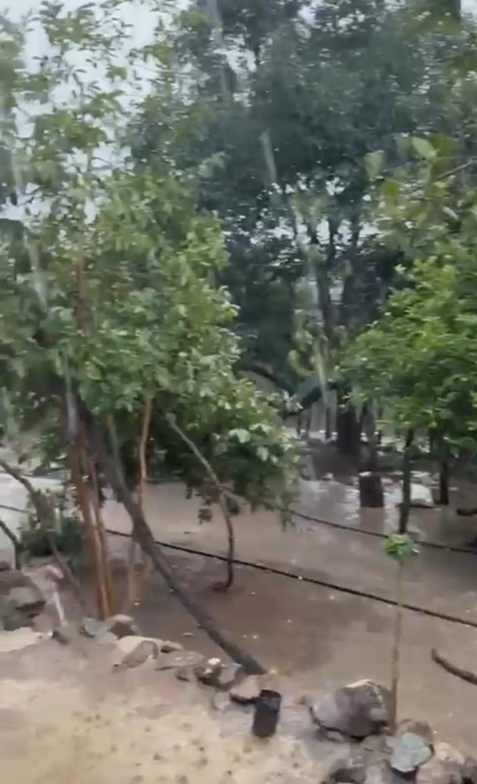 lluvias en la sierra del municipio de sinaloa