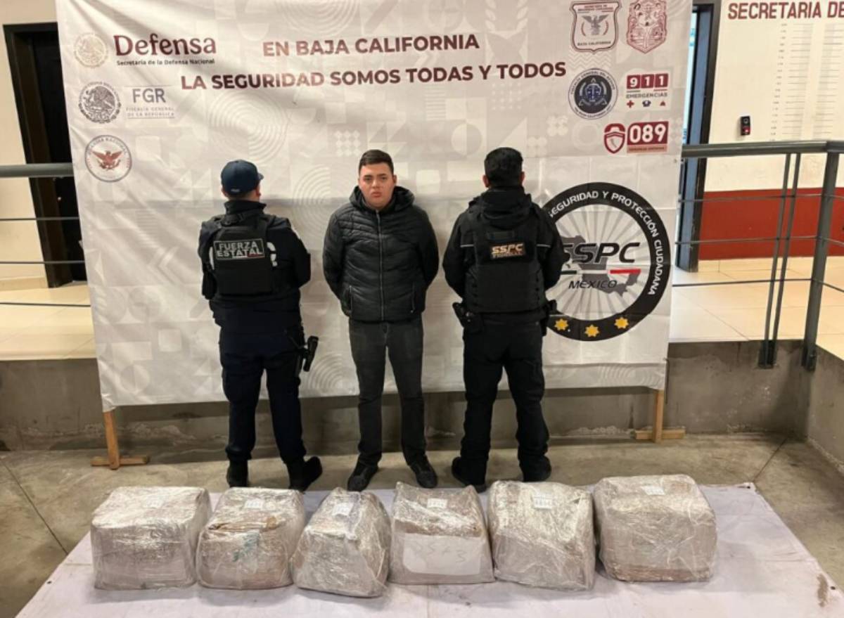 Decomisan 72.3 kilogramos de metanfetaminas en colonia de Tijuana