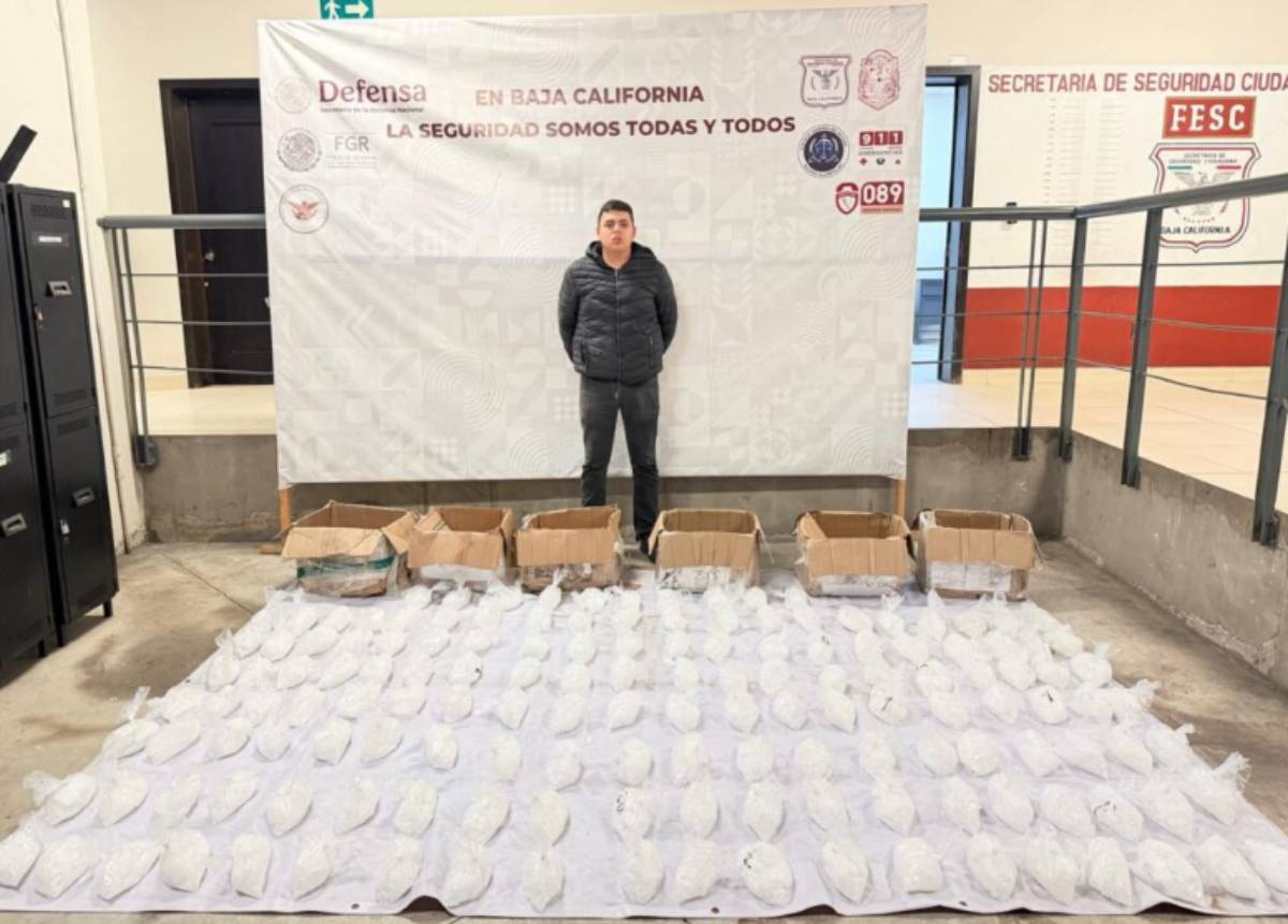 Decomisan 72.3 kilogramos de metanfetaminas en colonia de Tijuana