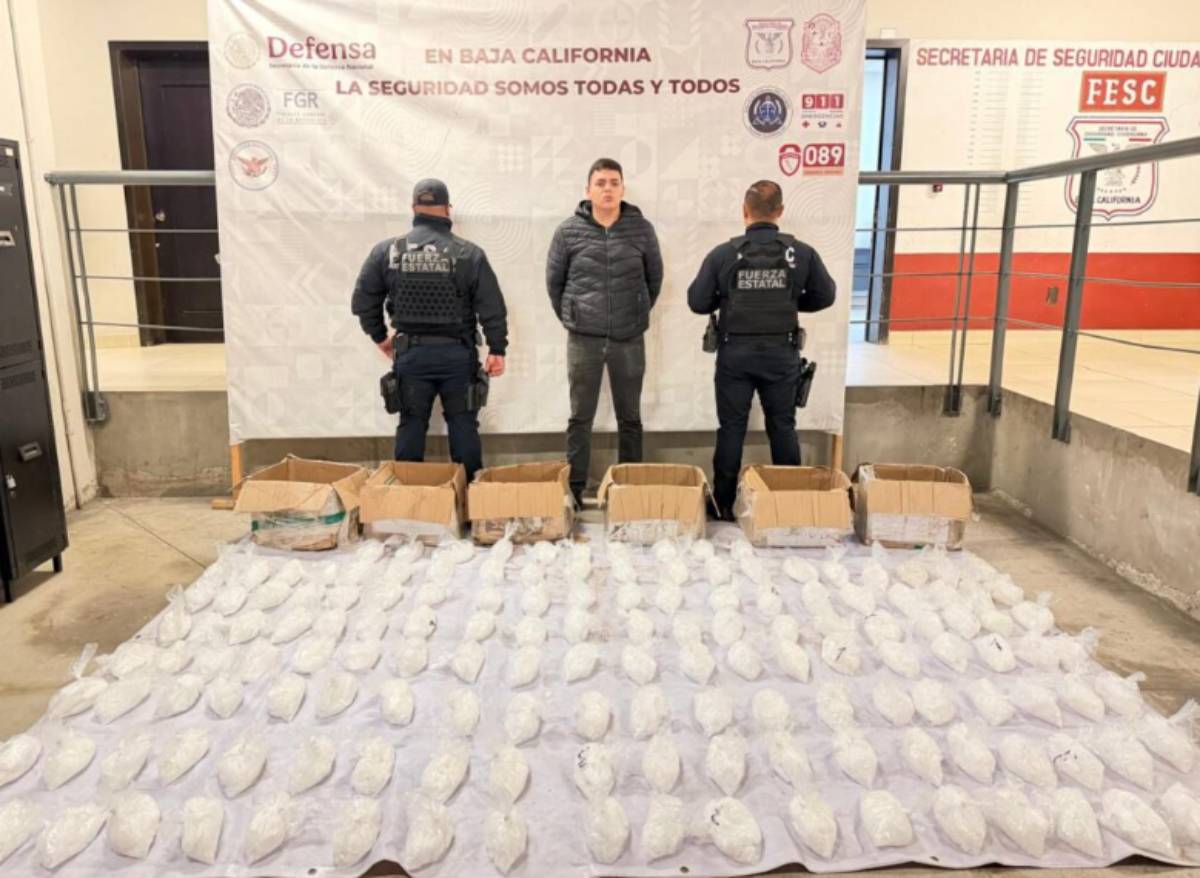 Decomisan 72.3 kilogramos de metanfetaminas en colonia de Tijuana