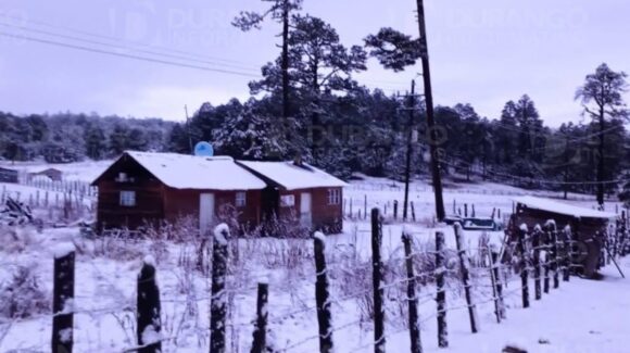 ¡Nieve en Durango! Municipio de Guanaceví amanece en un paisaje blanco