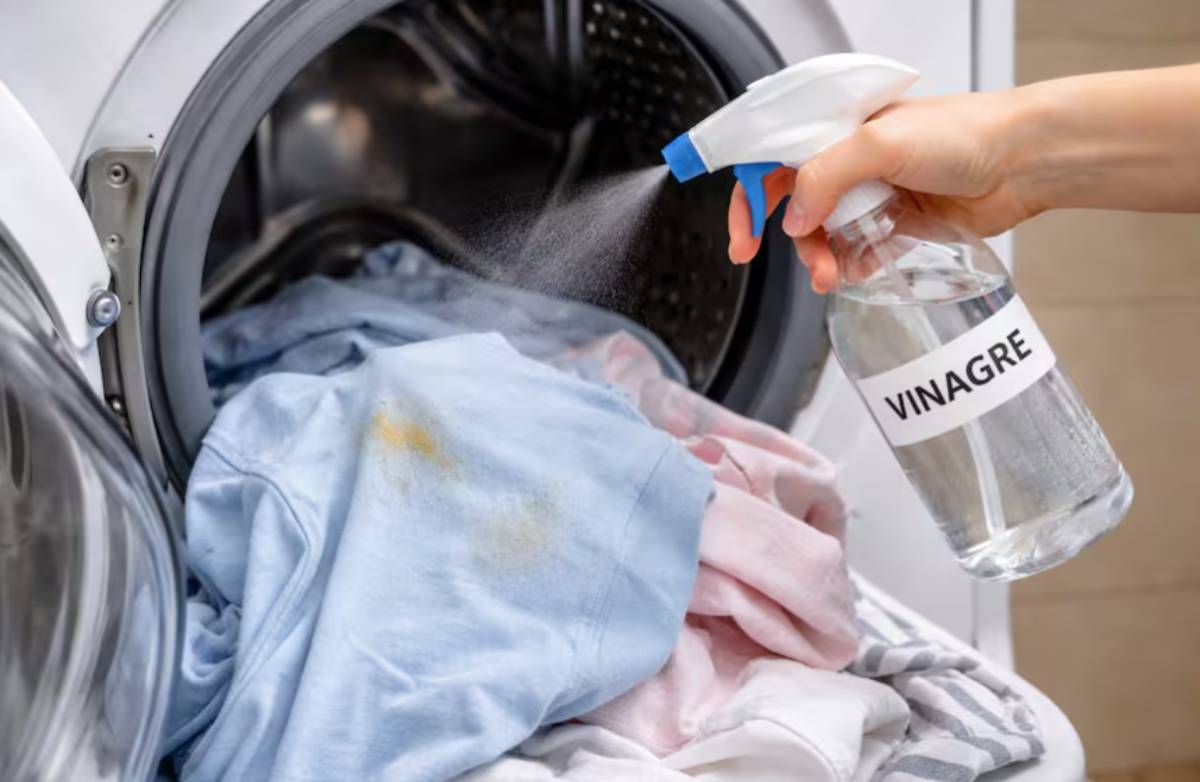 Olvídate de los malos olores; así se usa el vinagre blanco en la ropa