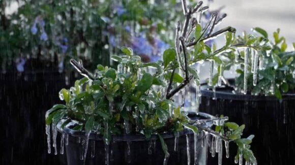 Tormenta invernal histórica amenaza a EE.UU. y Canadá con frío extremo