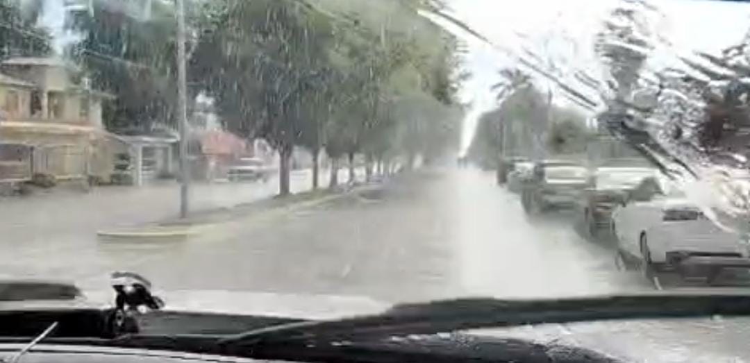además de mazatlan, en guasave tambien cayo granizo