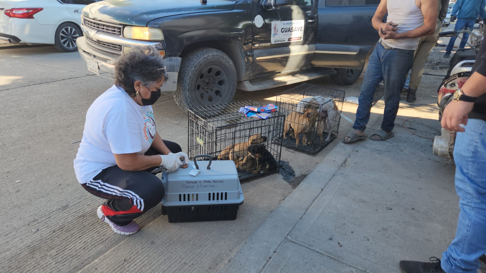 Patitas Felices apoya en rescate y atención de mascotas en casa de mujer postrada en Guasave