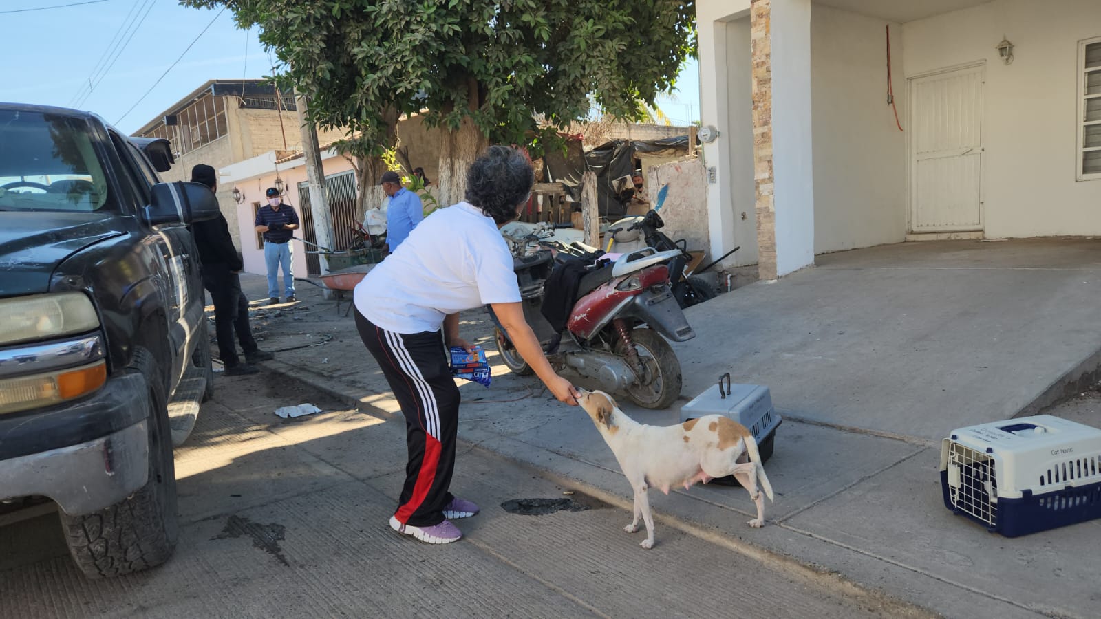 Patitas Felices apoya en rescate y atención de mascotas en casa de mujer postrada en Guasave