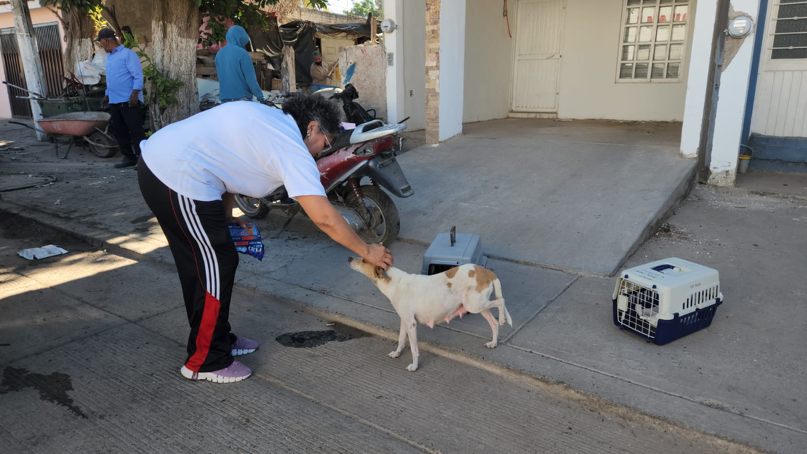 Patitas Felices apoya en rescate y atención de mascotas en casa de mujer postrada en Guasave