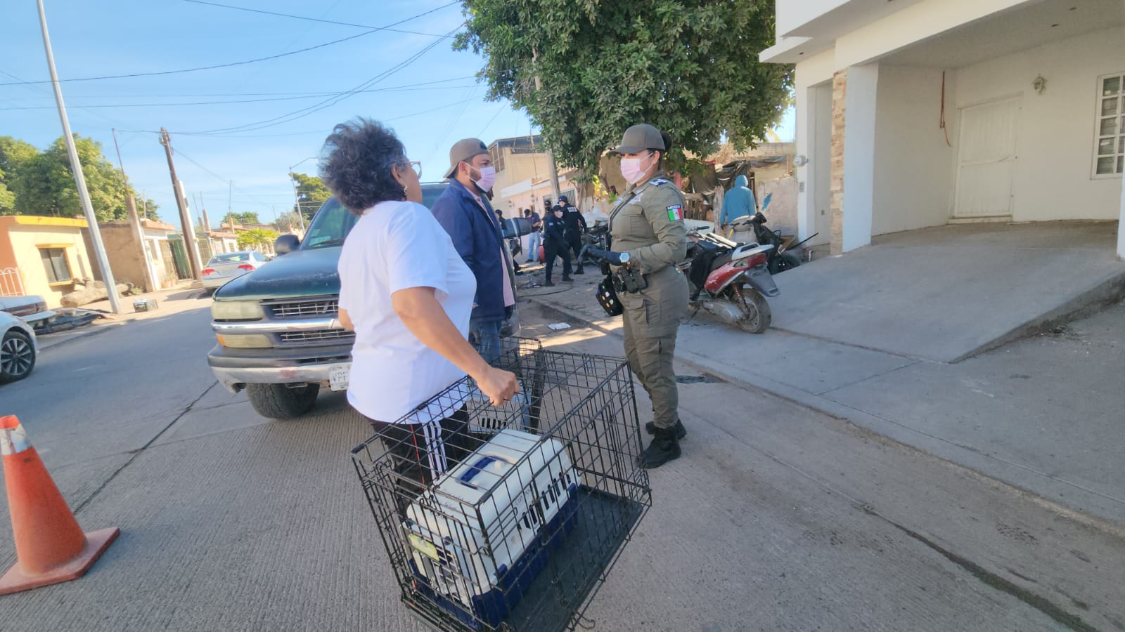 Patitas Felices apoya en rescate y atención de mascotas en casa de mujer postrada en Guasave