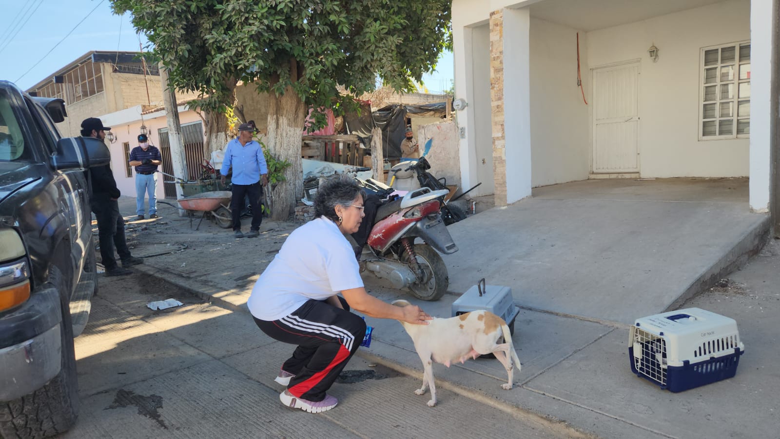 Patitas Felices apoya en rescate y atención de mascotas en casa de mujer postrada en Guasave