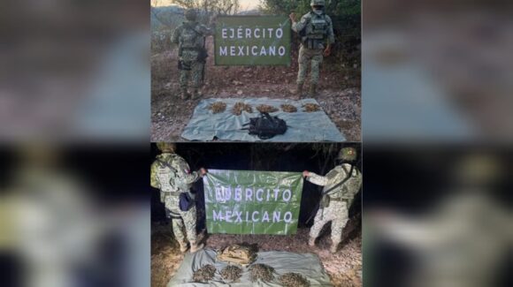 Desmantelan dos campamentos y asegura 2 mil 600 cartuchos en Concordia, Sinaloa