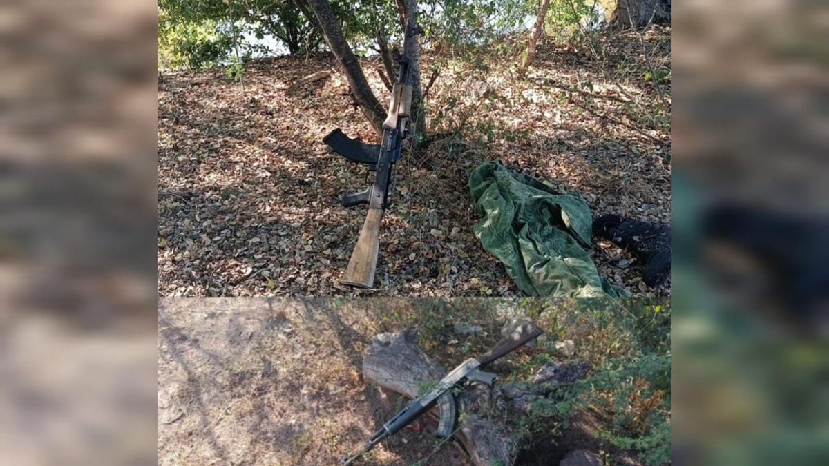 Aseguran armas largas en Elota