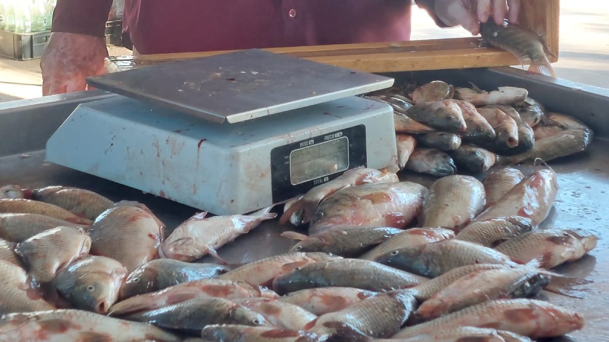 baja produccion de pescadores de la presa eustaquio buelna
