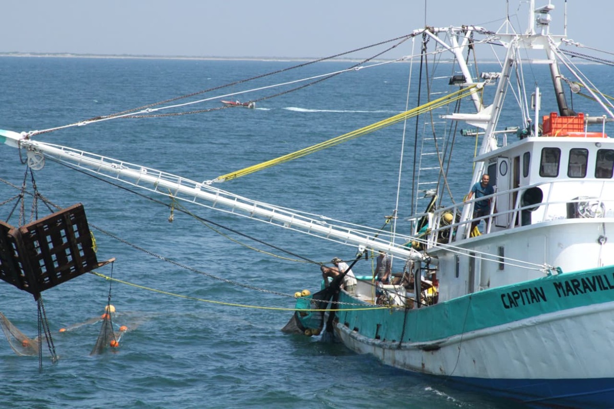 Barco pesquero