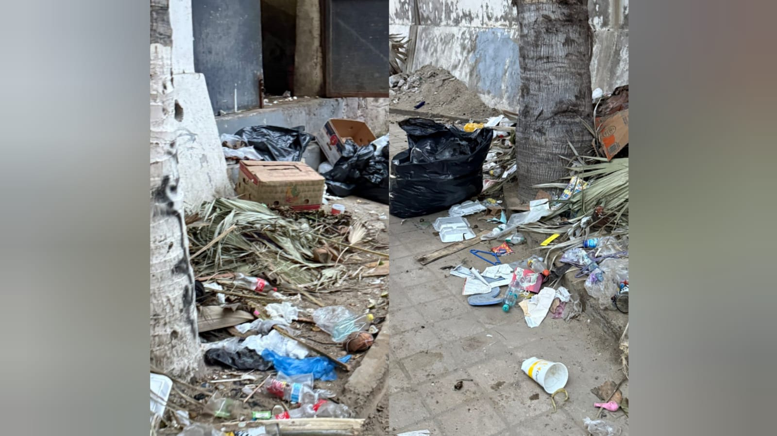 Basura Mazatlán