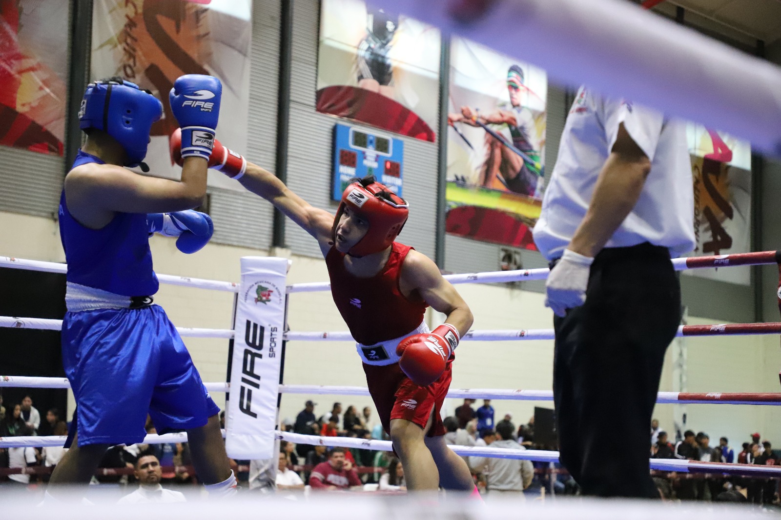 Boxeo