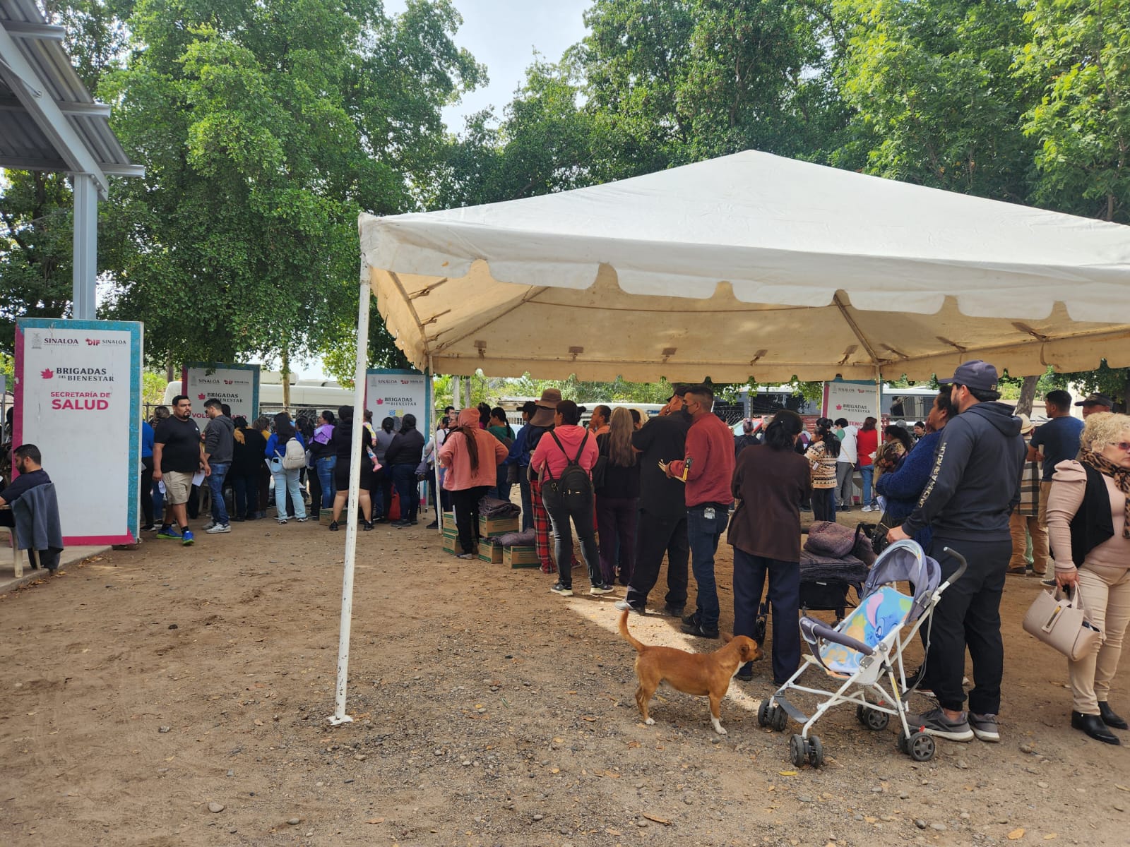 Brigadas del Bienestar en Nío, Guasave, Sin.