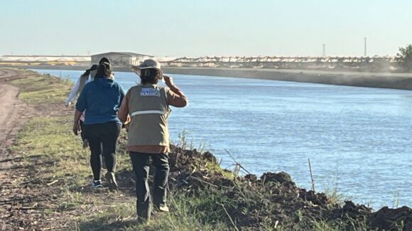 Rastreadoras buscan supuesto cuerpo en el canal Alto, tras reporte anónimo en Sinaloa municipio