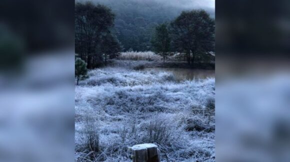 ¡Frillazo! Caerá a -1°C el termómetro en Sinaloa en los próximos días por el frente frío 31 y tercera tormenta invernal 