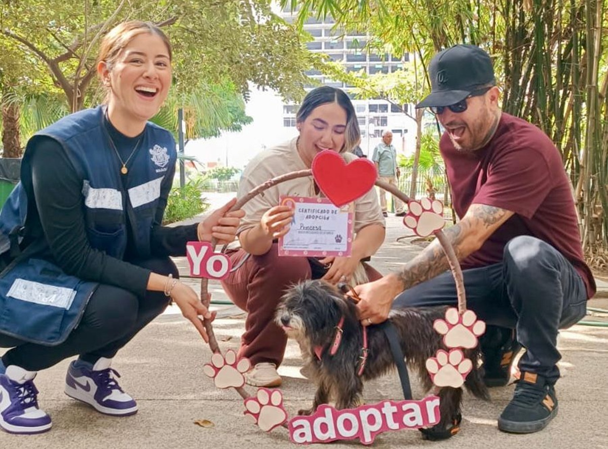 Campaña de adopción de perritos y gatitos en Mazatlán