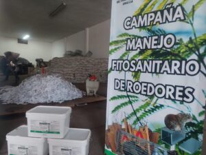 Campaña rata de Campo