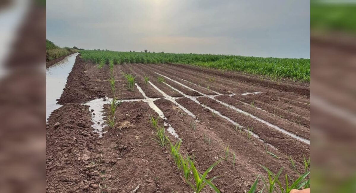 Usuarios del Módulo de Riego Taxtes tendrán tarifa del agua más baja en este ciclo agrícola 2026-2027