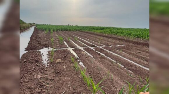 Esperan agricultores que cambios en Conagua permitan atender al sur de Sinaloa y hacer trabajo en equipo