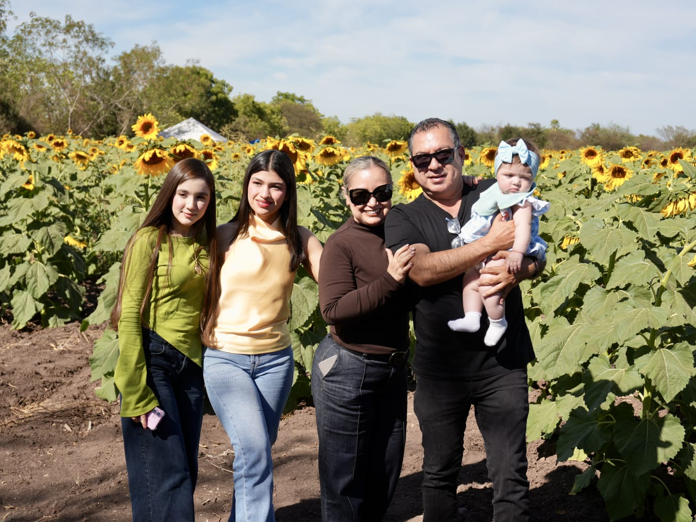 Campo de girasoles de Mocorito