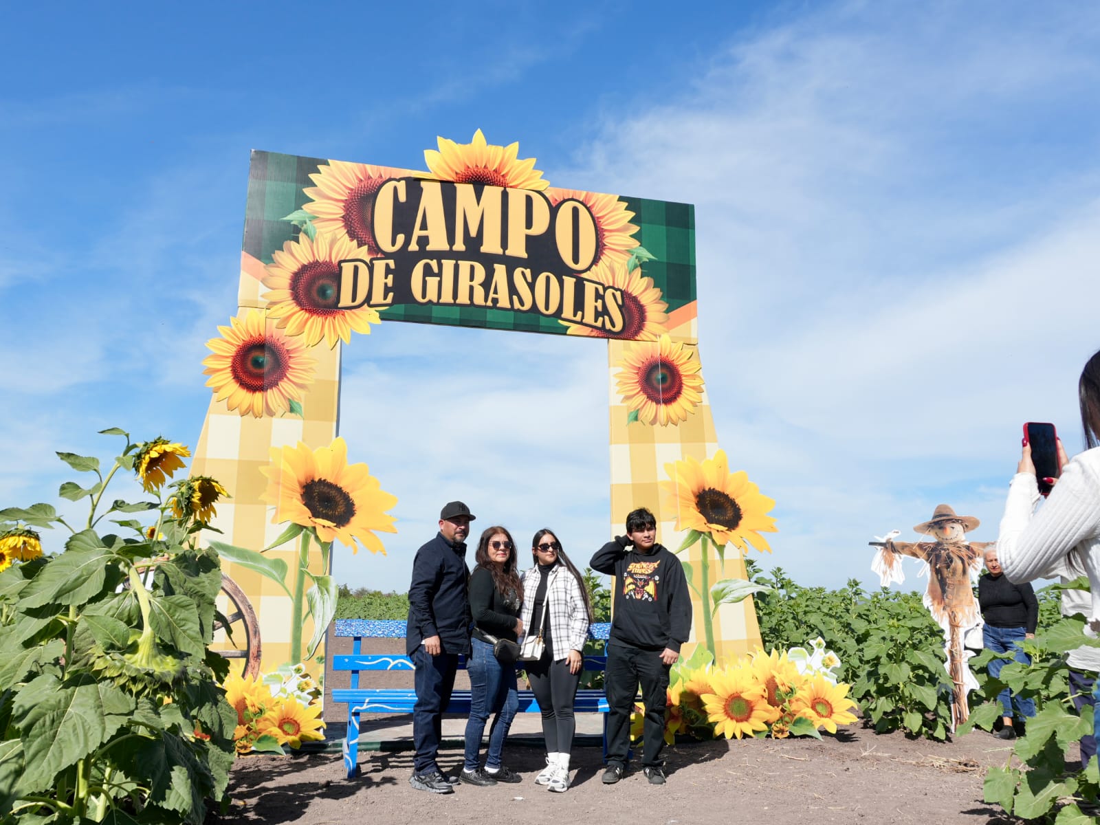 Campo de girasoles de Mocorito