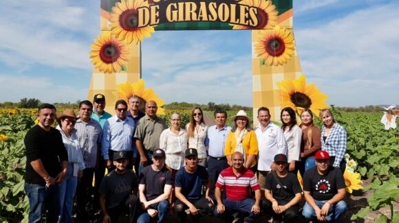Mocorito florece como destino turístico en el estado ante la apertura de su segundo campo de girasoles