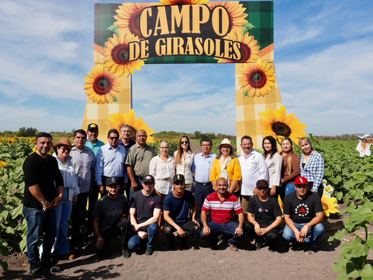 Campo de girasoles de Mocorito