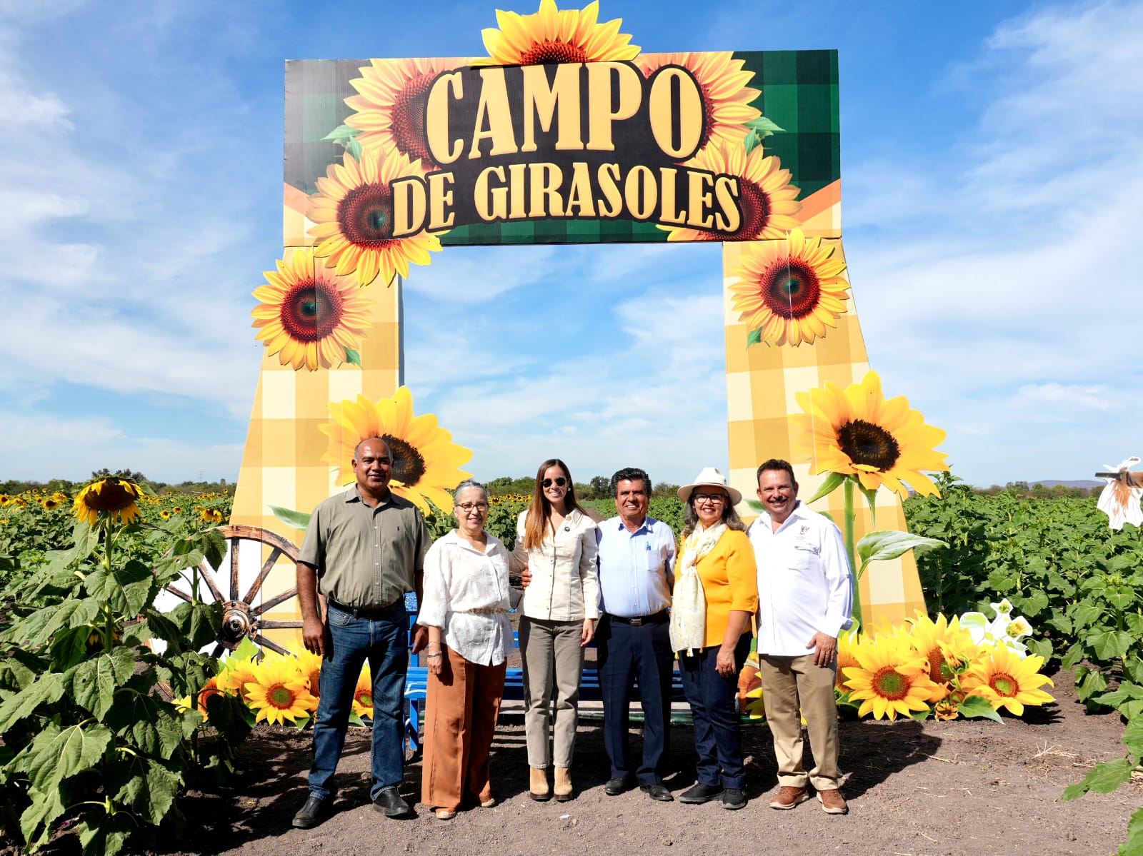 Campo de girasoles de Mocorito