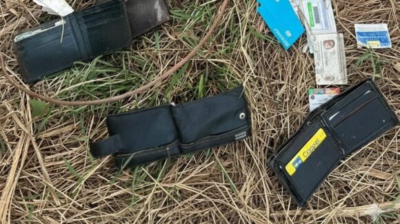 Un estudiante de Tlaxcala y una mujer que falleció en 2022 entre las credenciales localizadas en las inmediaciones del aeropuerto de Mazatlán, Sinaloa