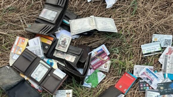 Localizan decenas de carteras con credenciales y tarjetas bancarias abandonadas al sur de Mazatlán, Sinaloa