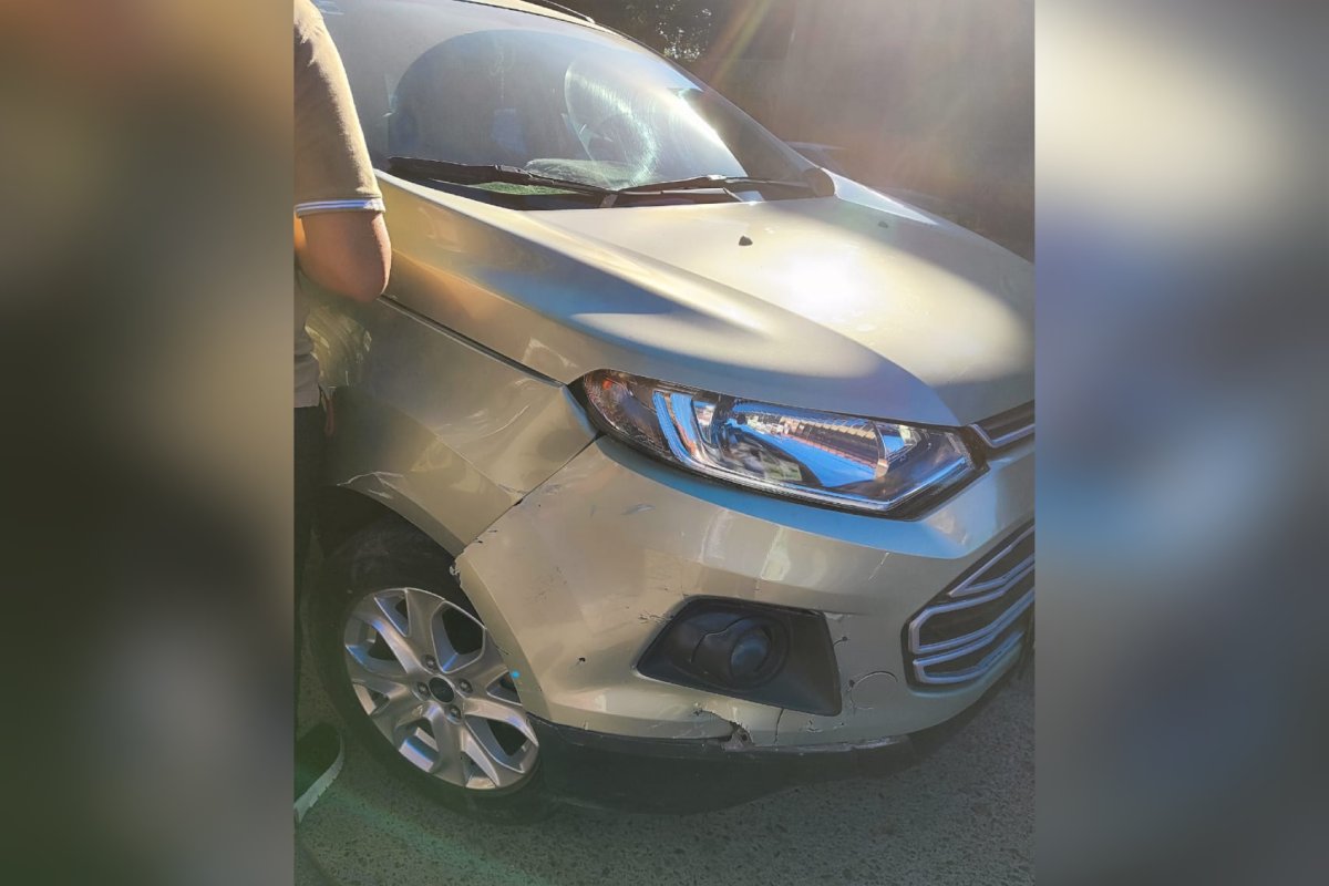 Ford EcoSport, color arena, modelo 2017