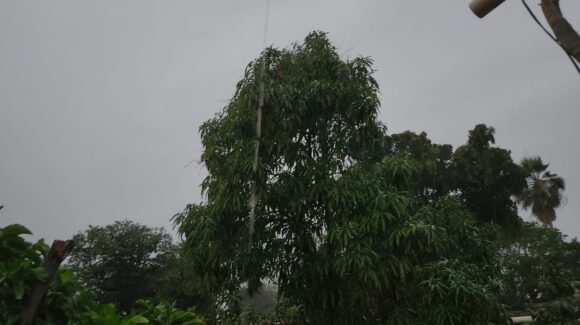 Guasave, Sinaloa, amanece con lluvias y cortes de luz