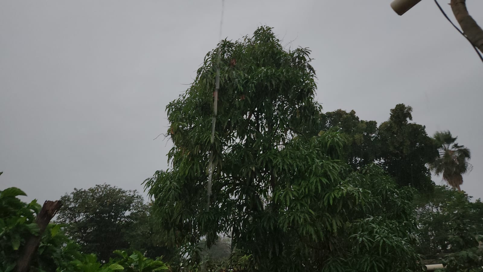 Cielo nublado