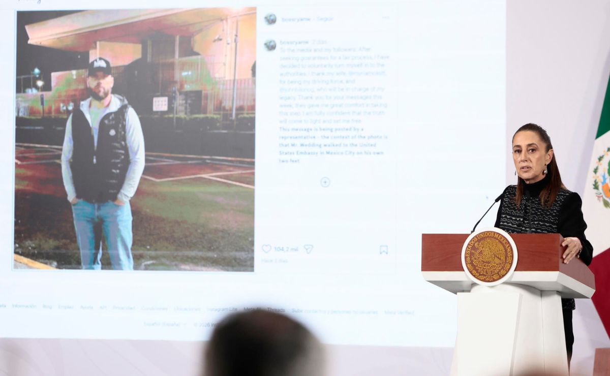 Claudia Sheinbaum hablando en la 'mañanera' sobre Ryan Wedding