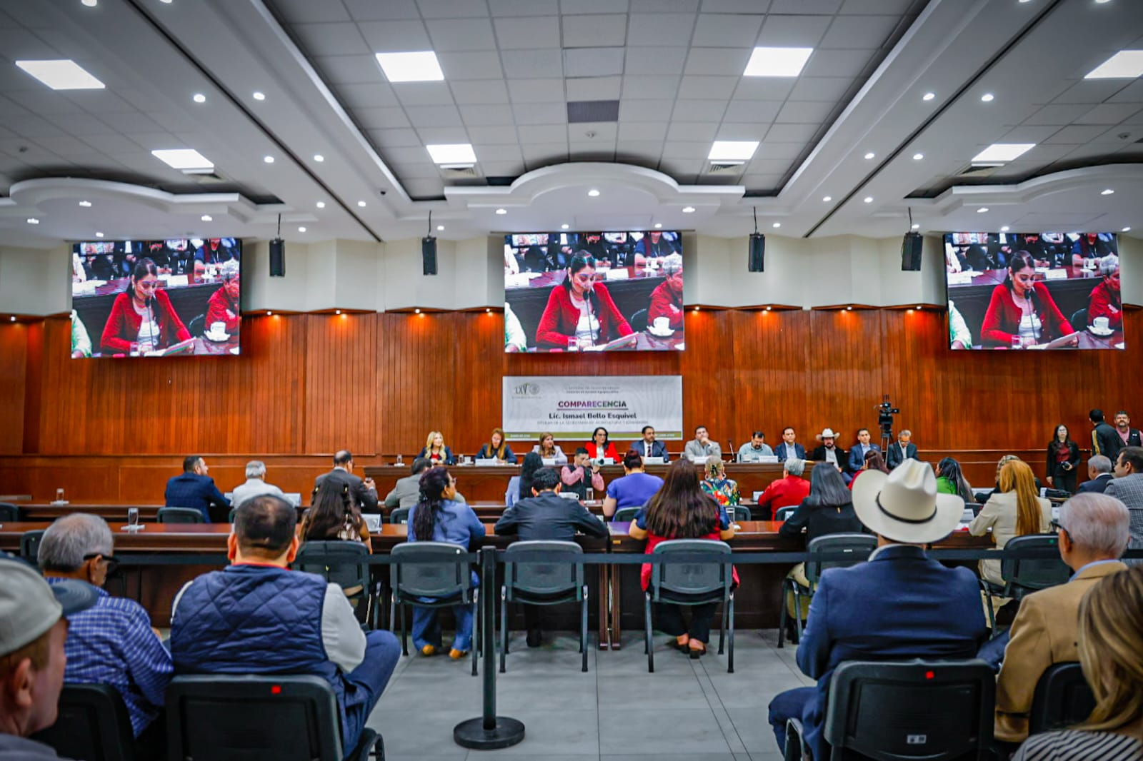 Comparecencia ante las diputadas y los diputados del Congreso del Estado